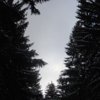 100_0211_hearts.jpg