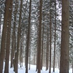 100_0212.jpg