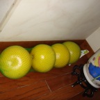 DSC09614.JPG