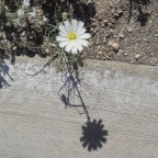 DSC00702.JPG