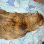 DSC00736.JPG
