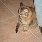 DSC00740.JPG