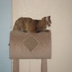 DSC00747.JPG