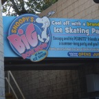DSC03508.JPG