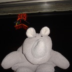 DSC07906.JPG