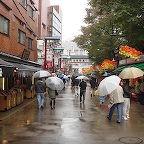DSC08082.JPG