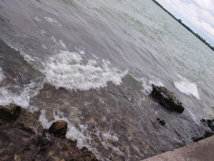 Loading Image