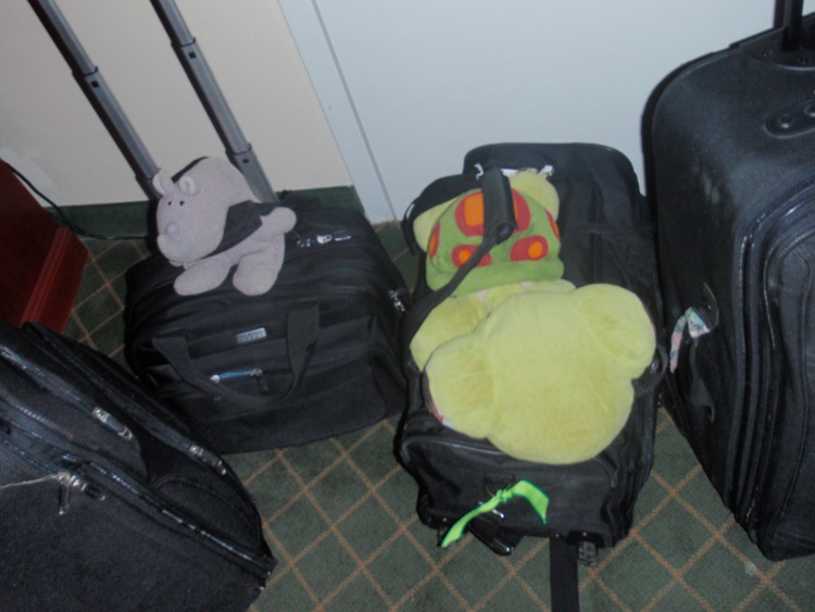 Loading Image