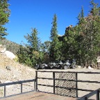 IMG_0477.JPG