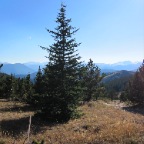 IMG_0491.JPG