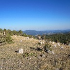 IMG_0520.JPG