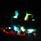 PB250406.JPG