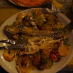 DSC02036.JPG